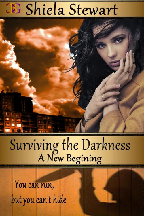 Cover of the book Surviving the Darkness by Shiela Stewart, Champagne Book Group