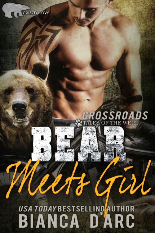 Cover of the book Bear Meets Girl by Bianca D'Arc, Hawk Publishing, LLC