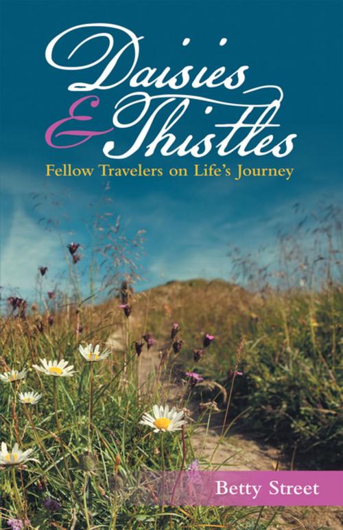 Cover of the book Daisies & Thistles by Betty Street, WestBow Press