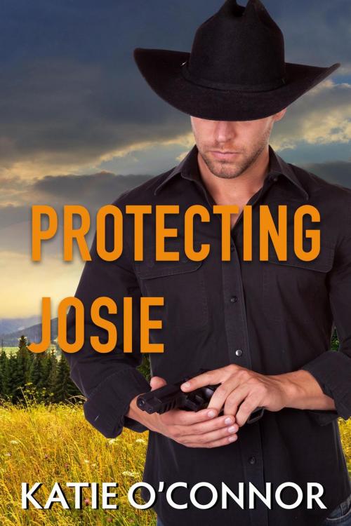 Cover of the book Protecting Josie by Katie O'Connor, Snarky Heart Press