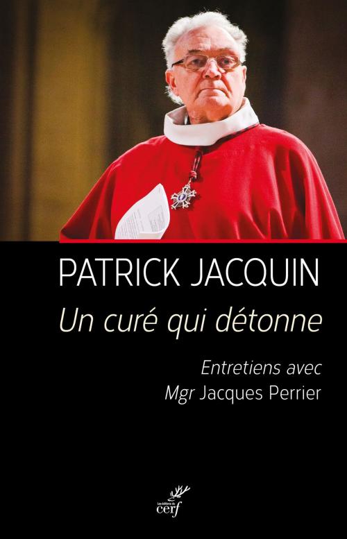 Cover of the book Un curé qui détonne by Patrick Jacquin, Michel Dubost, Jacques Perrier, Editions du Cerf