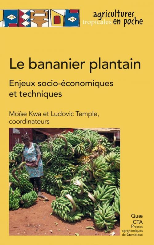 Cover of the book Le bananier plantain by Ludovic Temple, Moïse Kwa, Quae