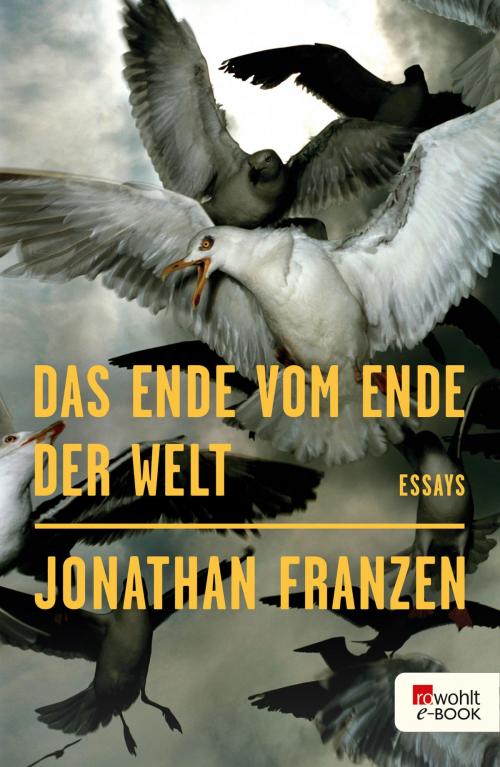 Cover of the book Das Ende vom Ende der Welt by Jonathan Franzen, Rowohlt E-Book