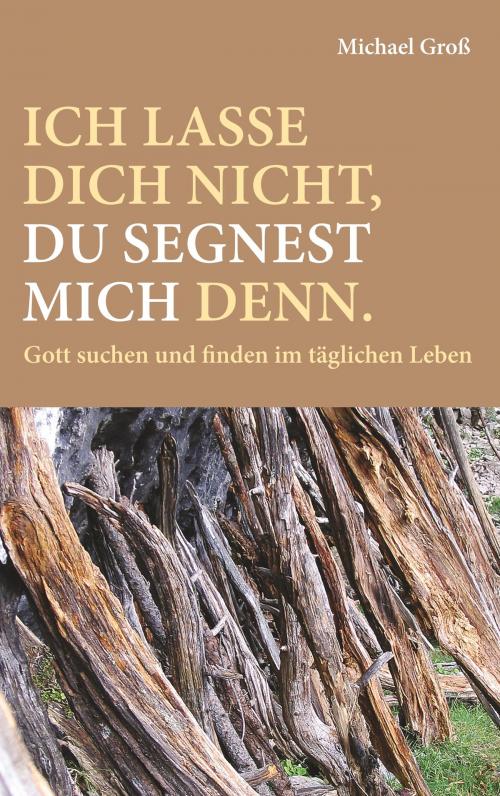 Cover of the book Ich lasse dich nicht, du segnest mich denn. by Michael Groß, TWENTYSIX