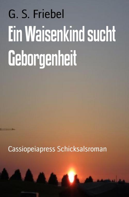 Cover of the book Ein Waisenkind sucht Geborgenheit by G. S. Friebel, BookRix