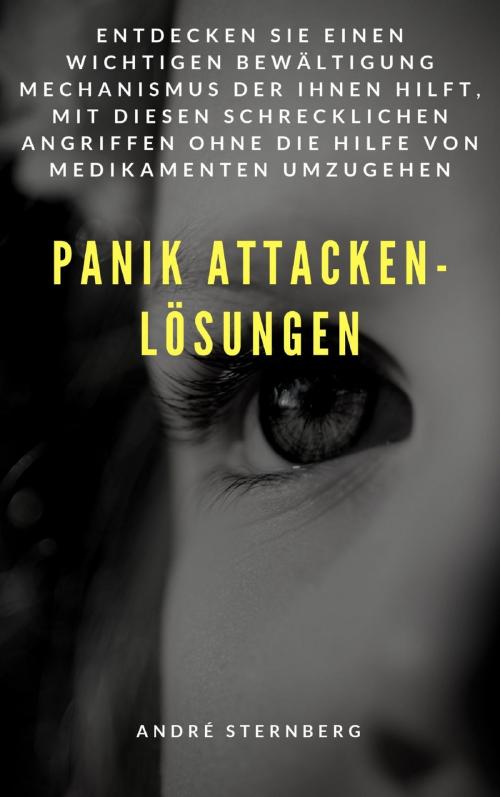 Cover of the book Panik Attacken - Lösungen by Andre Sternberg, neobooks