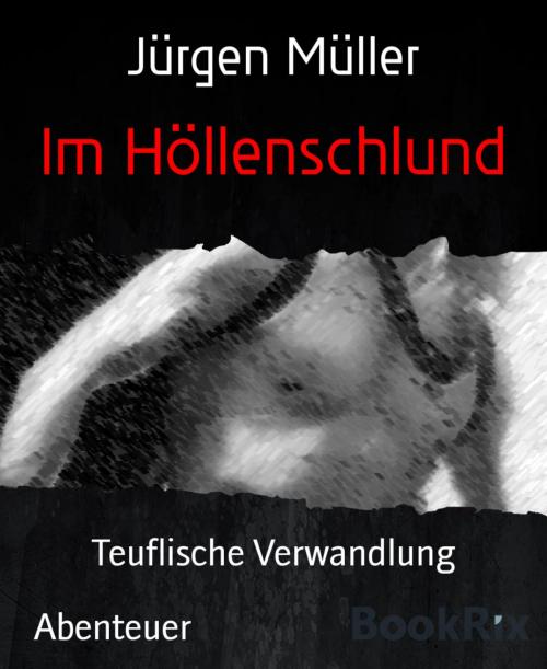 Cover of the book Im Höllenschlund by Jürgen Müller, BookRix