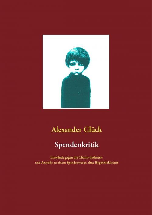 Cover of the book Spendenkritik by Alexander Glück, Books on Demand
