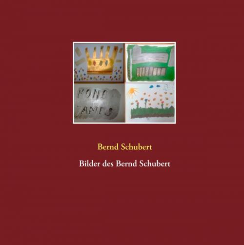 Cover of the book Bilder des Bernd Schubert by Bernd Schubert, Books on Demand