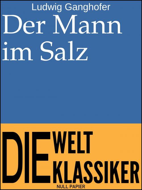 Cover of the book Der Mann im Salz by Ludwig Ganghofer, Null Papier Verlag