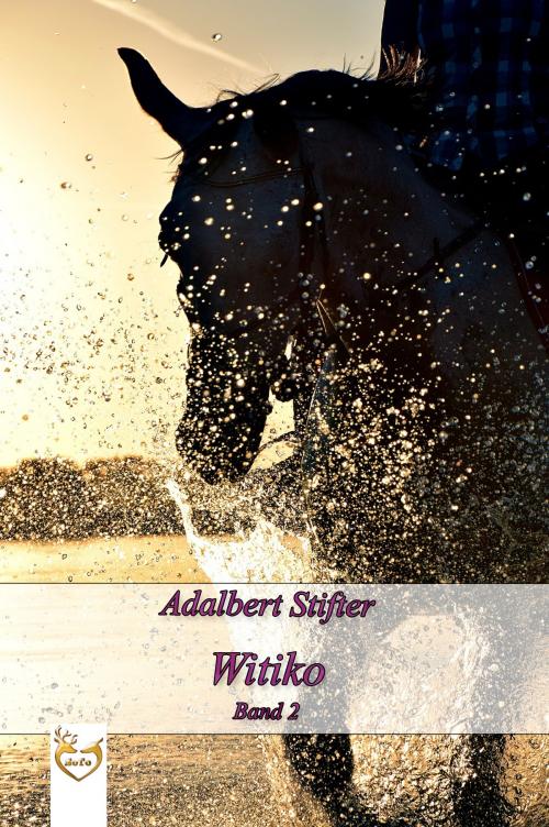 Cover of the book Witiko by Adalbert Stifter, Soto-verlag