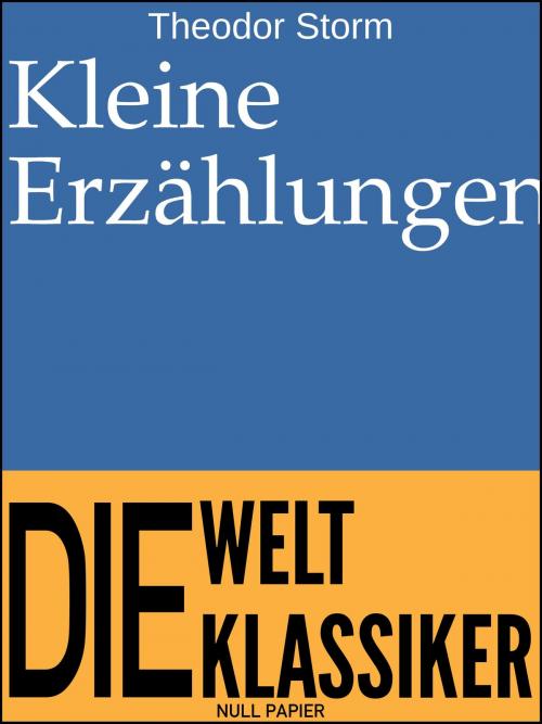 Cover of the book Kleine Erzählungen by Theodor Storm, Null Papier Verlag