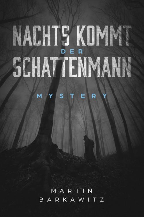 Cover of the book Nachts kommt der Schattenmann by Martin Barkawitz, Elaria