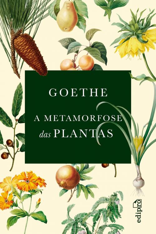 Cover of the book A metamorfose das plantas by Johann Wolfgang von Goethe, Edipro