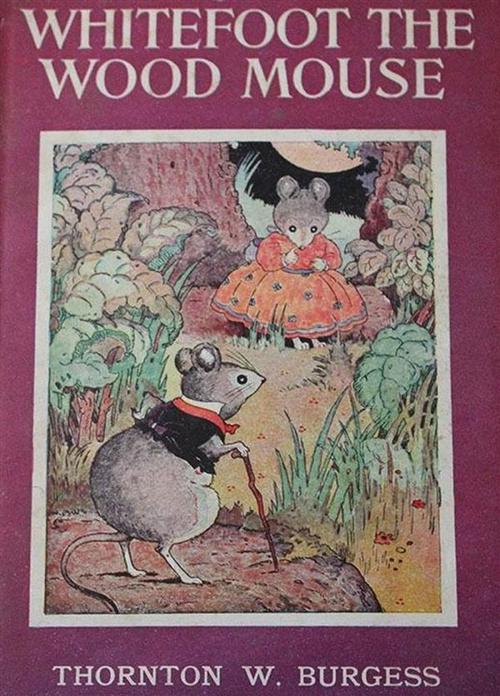 Cover of the book Whitefoot the Wood Mouse by Thornton W. Burgess, Reading Essentials