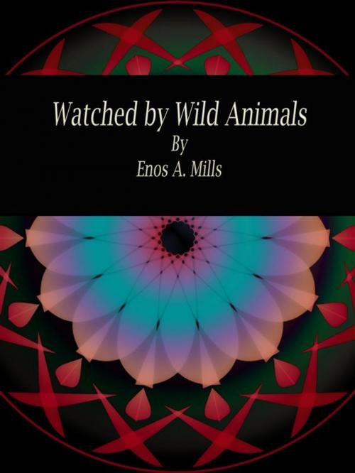 Cover of the book Watched by Wild Animals by Enos A. Mills, Publisher s11838