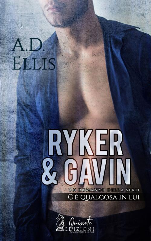 Cover of the book Riker & Gavin by A.D. Ellis, Quixote Edizioni