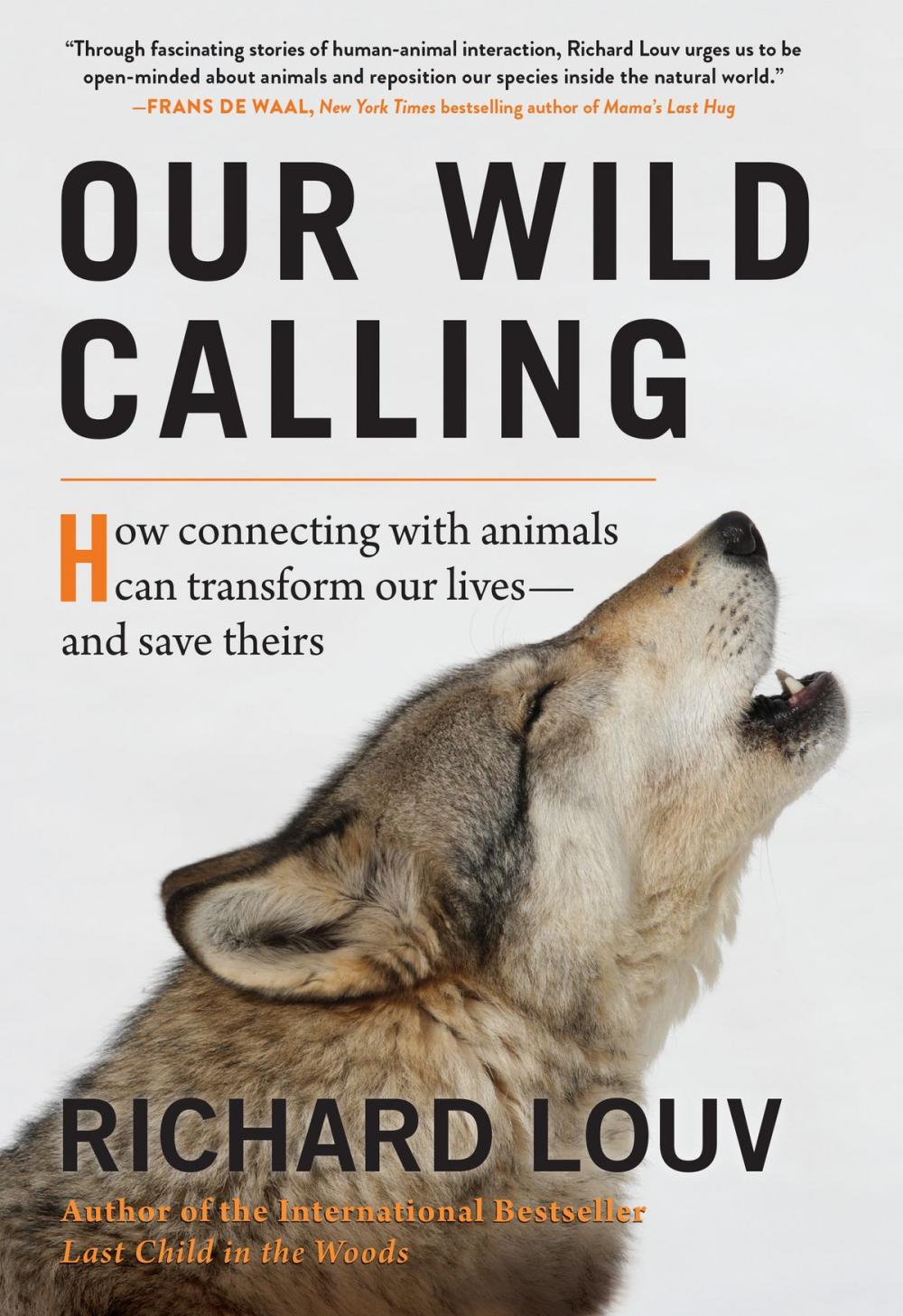 Big bigCover of Our Wild Calling