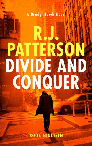 Cover of the book Divide and Conquer by Karen Lewis