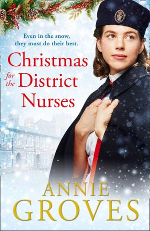 Cover of the book Christmas for the District Nurses (The District Nurse, Book 3) by Sally Hyder