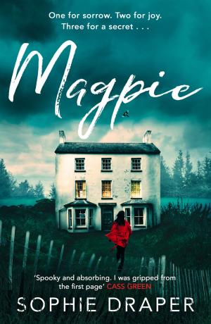 Book cover of Magpie