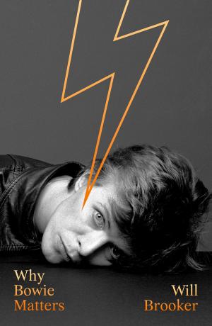 Cover of the book Why Bowie Matters by Liesel Schmidt