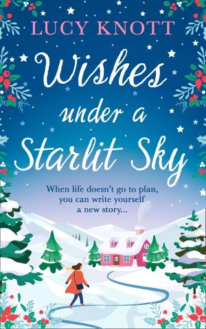 Cover of the book Wishes Under a Starlit Sky by Felix Baron