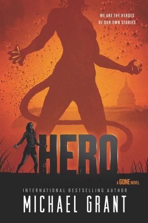 Cover of the book Hero by Trina Malone