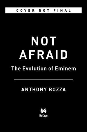 bigCover of the book Not Afraid by 