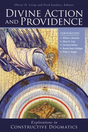 Cover of the book Divine Action and Providence by Daryl Charles, Tom Thatcher, Tremper Longman III, David E. Garland