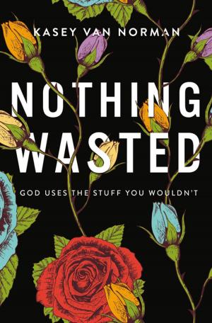 Cover of the book Nothing Wasted by Shauna Niequist
