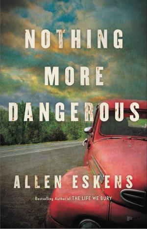 Cover of the book Nothing More Dangerous by Alan Lew