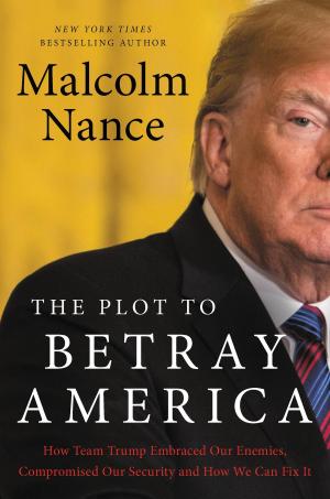 Book cover of The Plot to Betray America