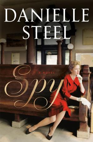 Book cover of Spy