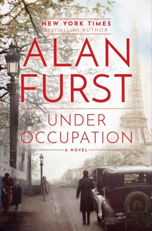 Cover of the book Under Occupation by Katie Flynn