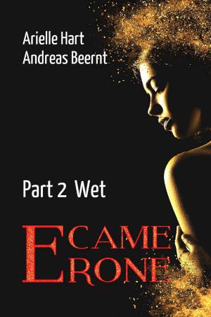 Cover of the book E-camerone 2: Wet by Jane Amber