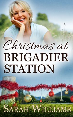 Book cover of Christmas at Brigadier Station