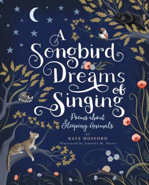 Cover of the book A Songbird Dreams of Singing by Phil Edwards, Matt Kraft