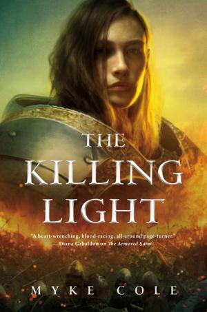Cover of the book The Killing Light by David Bilsborough