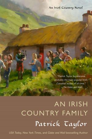 Cover of the book An Irish Country Family by Robert Jordan