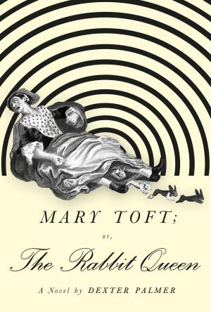 bigCover of the book Mary Toft; or, The Rabbit Queen by 