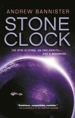 Cover of the book Stone Clock by Eileen Charbonneau