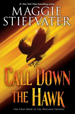 Cover of the book Call Down the Hawk, (The Dreamer Trilogy, Book 1) by Meredith Rusu