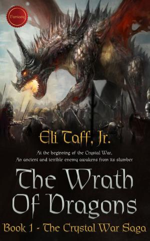 Cover of the book The Wrath of Dragons by Teena Raffa-Mulligan
