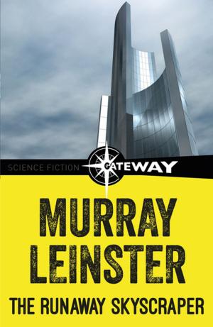 Cover of the book The Runaway Skyscraper by Affront Publishing