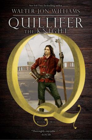 Cover of the book Quillifer the Knight by Sebastiano B. Brocchi