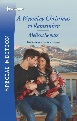 Cover of the book A Wyoming Christmas to Remember by Dani Sinclair