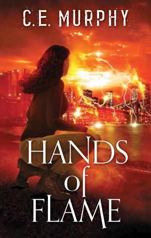 Cover of the book Hands of Flame by Christina Hollis