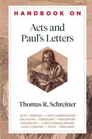 Cover of Handbook on Acts and Paul's Letters (Handbooks on the New Testament)
