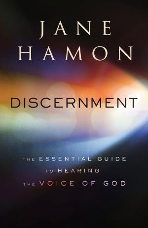 Book cover of Discernment